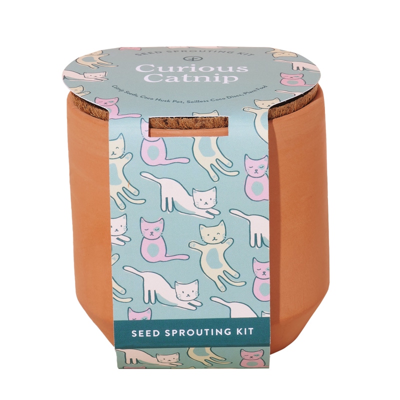 Pet Tiny Terracotta Grow Kits